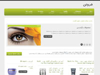 فروتن: ثبت دامنه, میزبانی وب, طراحی وب سایت, بهینه سازی موتور جستجو